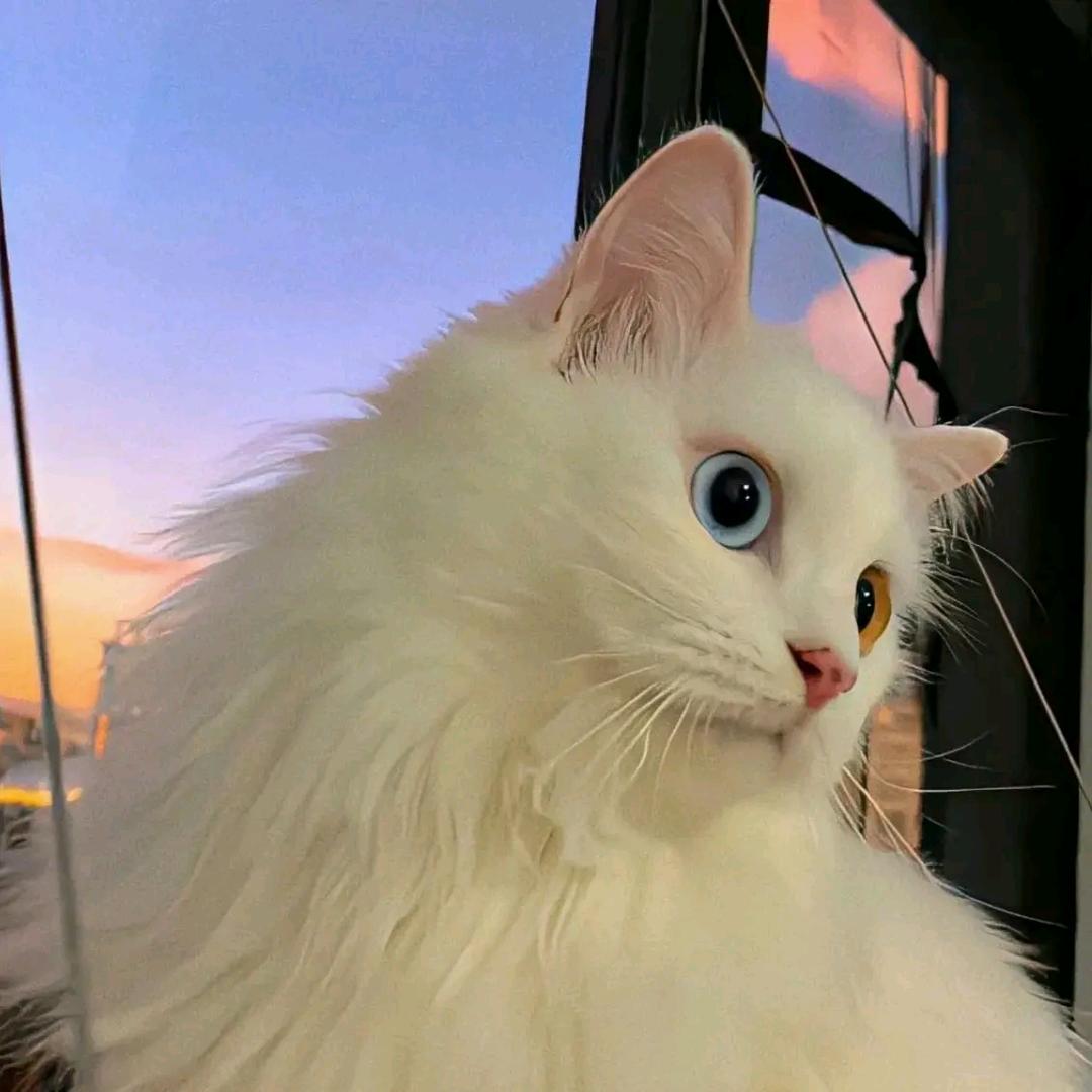 永恒.