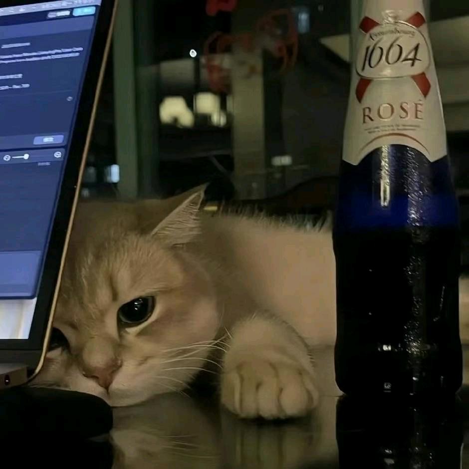 /：自渡