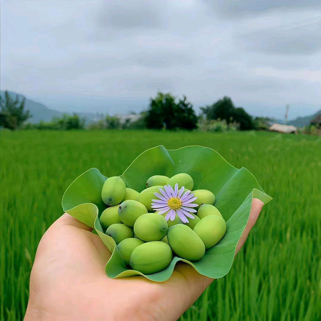 时间煮雨☔☔☔