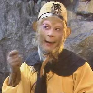 我是你哈哈哈哈哈哈哈哈哈