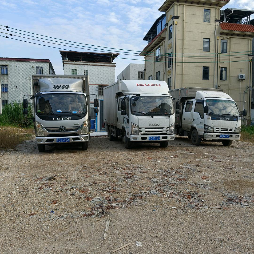 高价现金收购条冻虾，冰虾，虾米虾