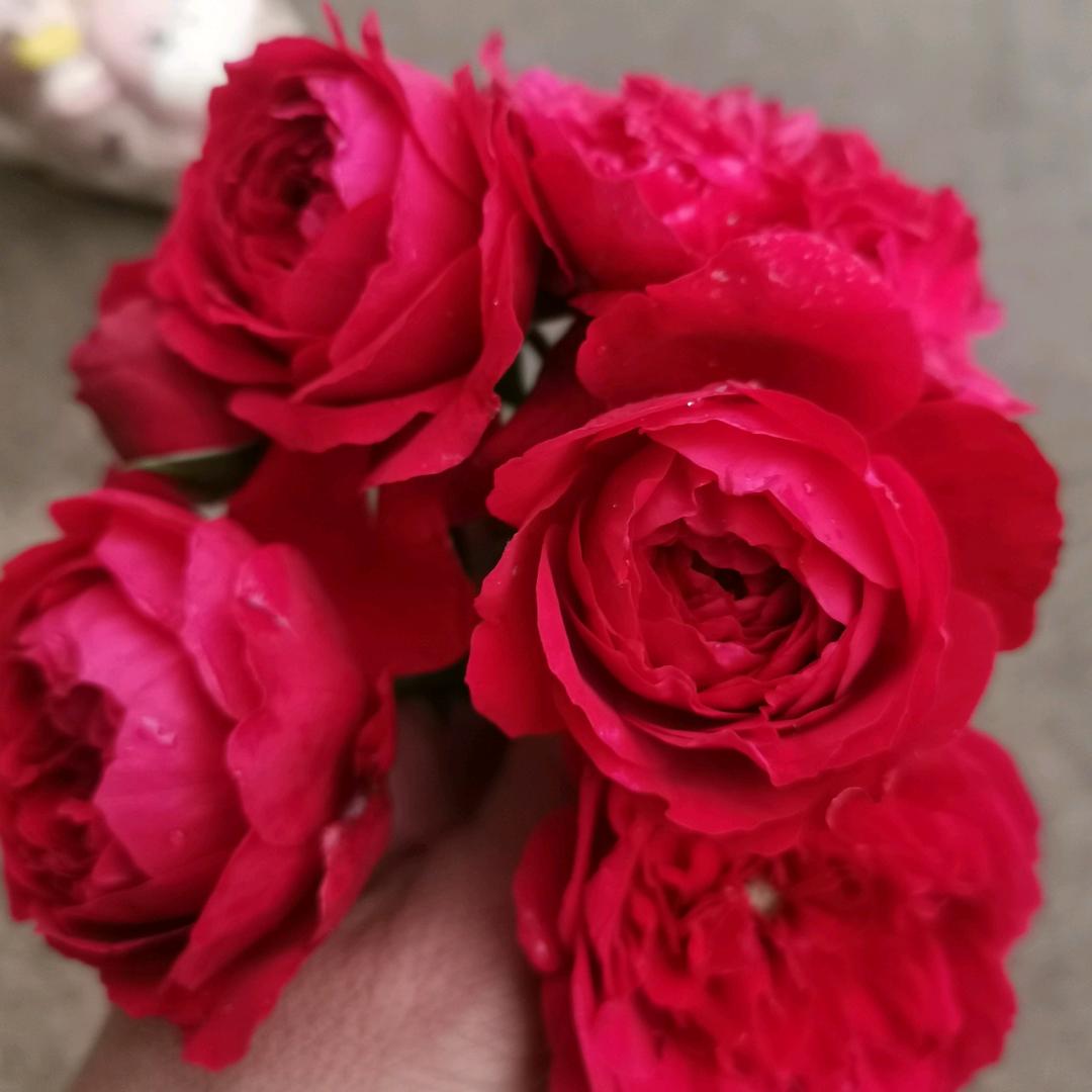 🕊ꦿ随缘꧔ꦿ᭄💞🕊: