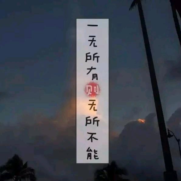 ☞真沉✔搭子☜