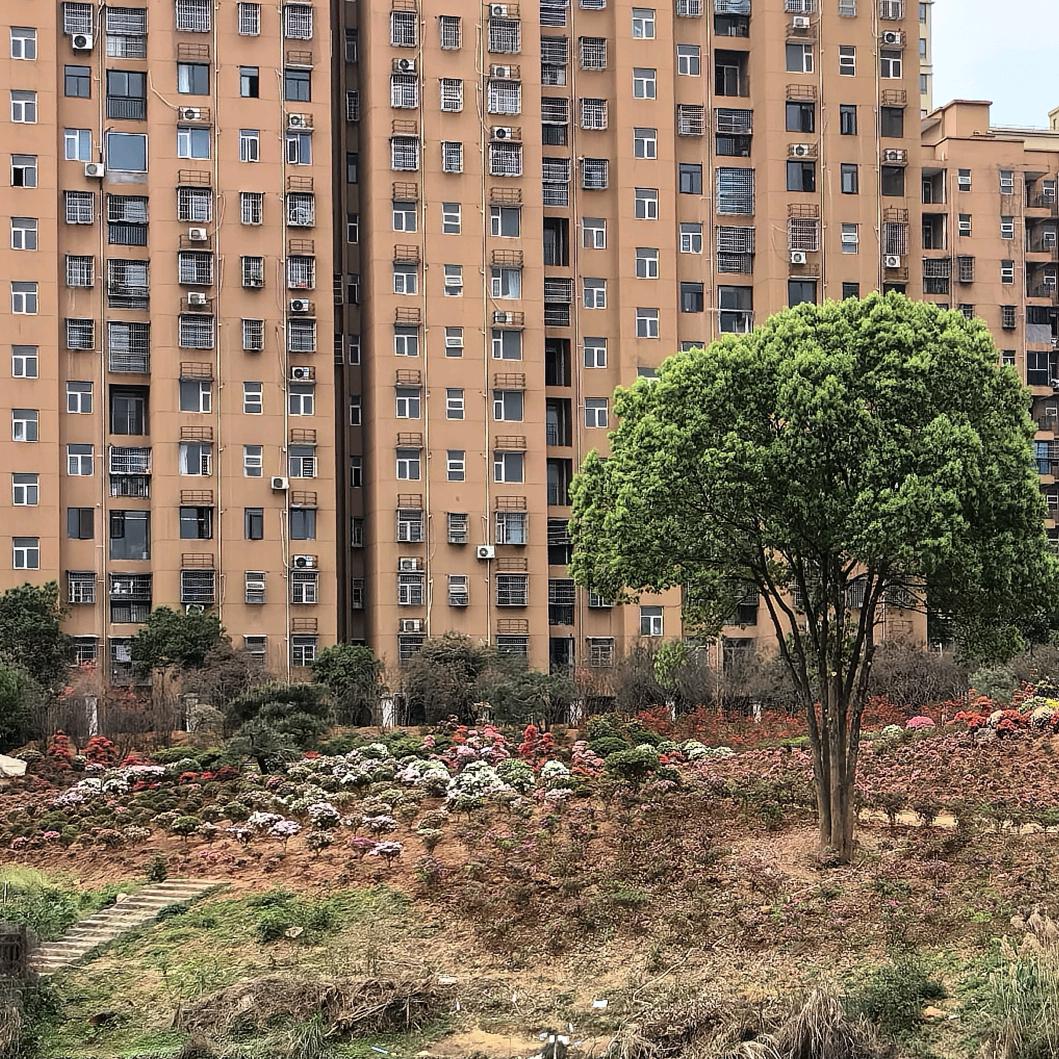 左冯翊