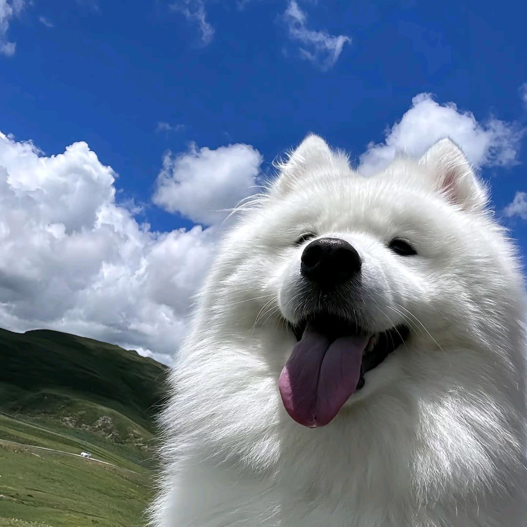 🏔️