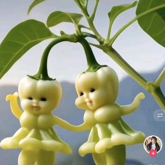 🈚️❤️