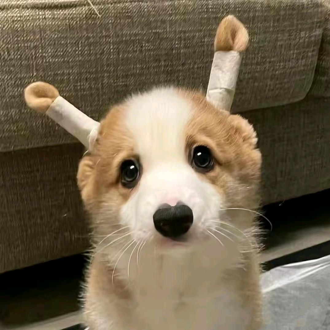 󠀀󠀀󠀀