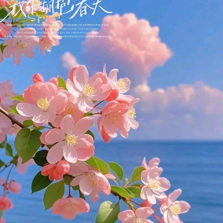 Yangm