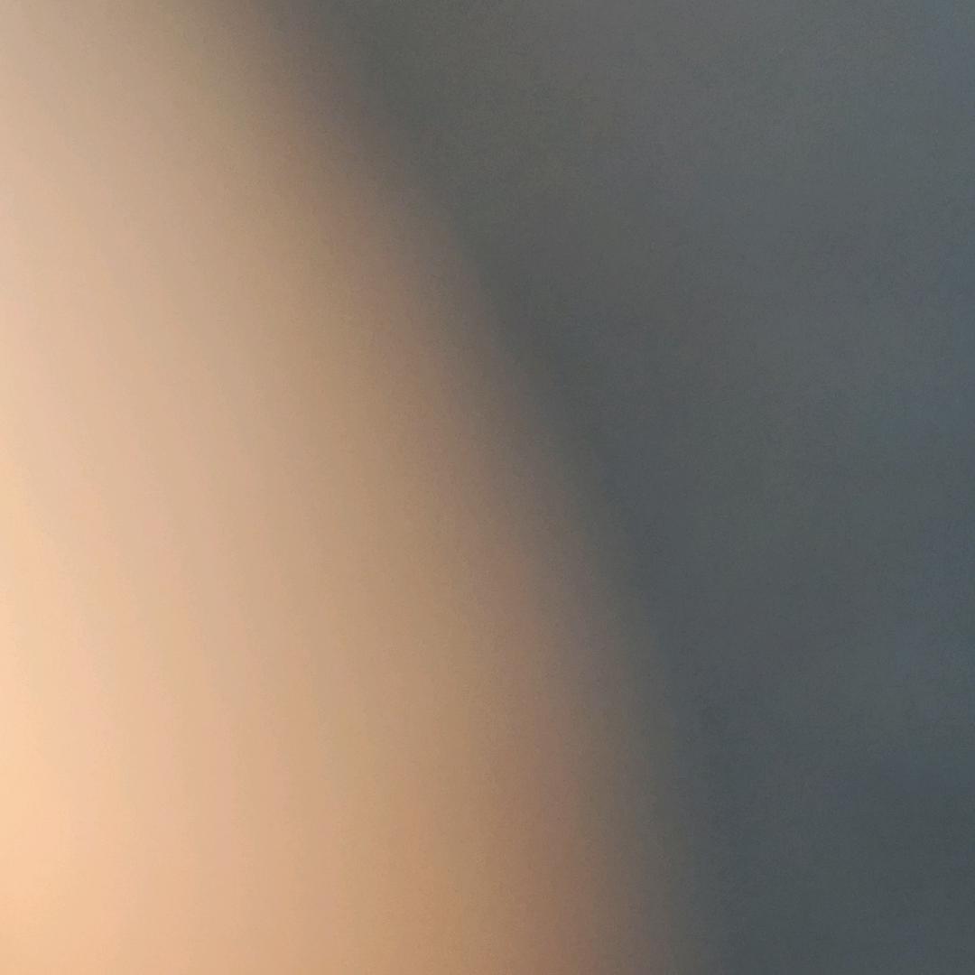 419738802009