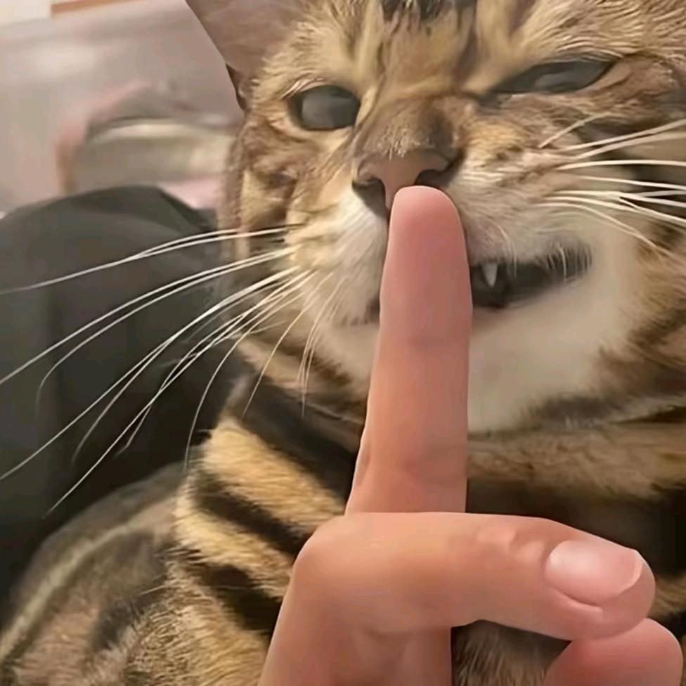 ℋབདེ་མཚོ་བདེ་མོ་♡ᵕ̈