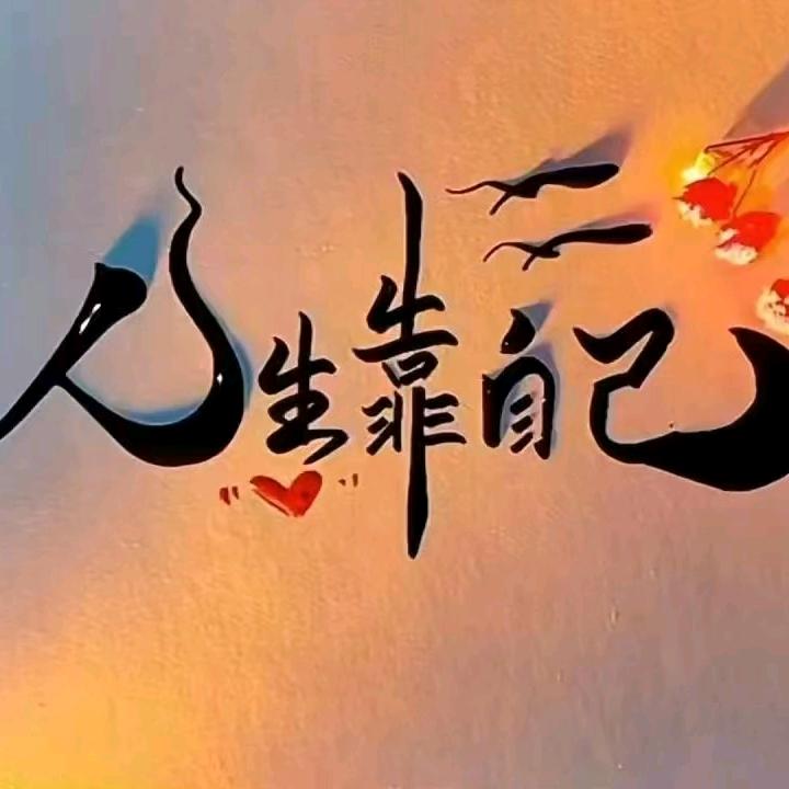 安平县系迈防尘网遮阳网厂