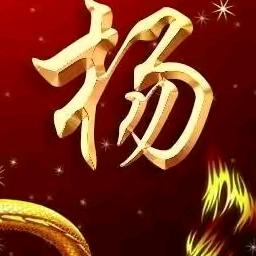 河南杨姐。