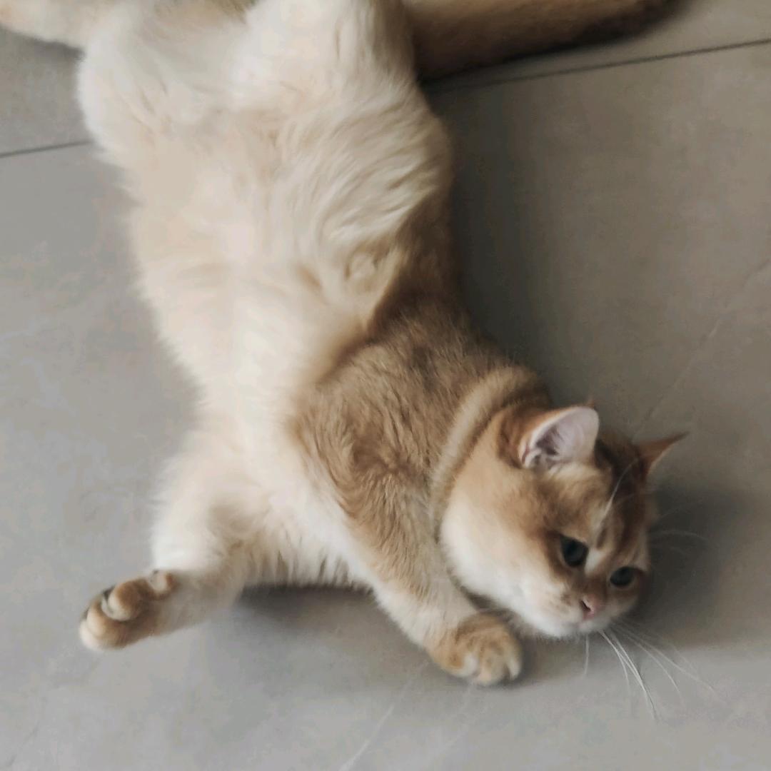 三十三块八毛三