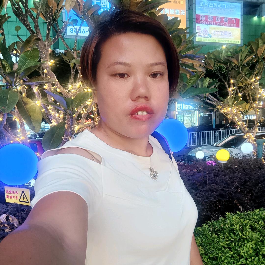 小菊花（轻体+神器）