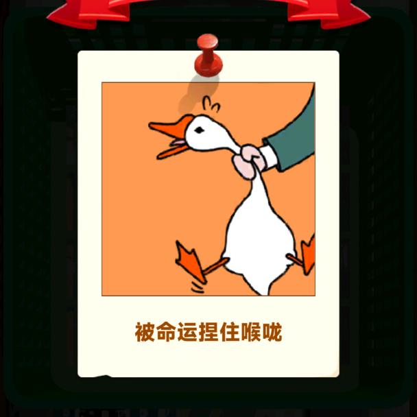 银针不戳的茶话会