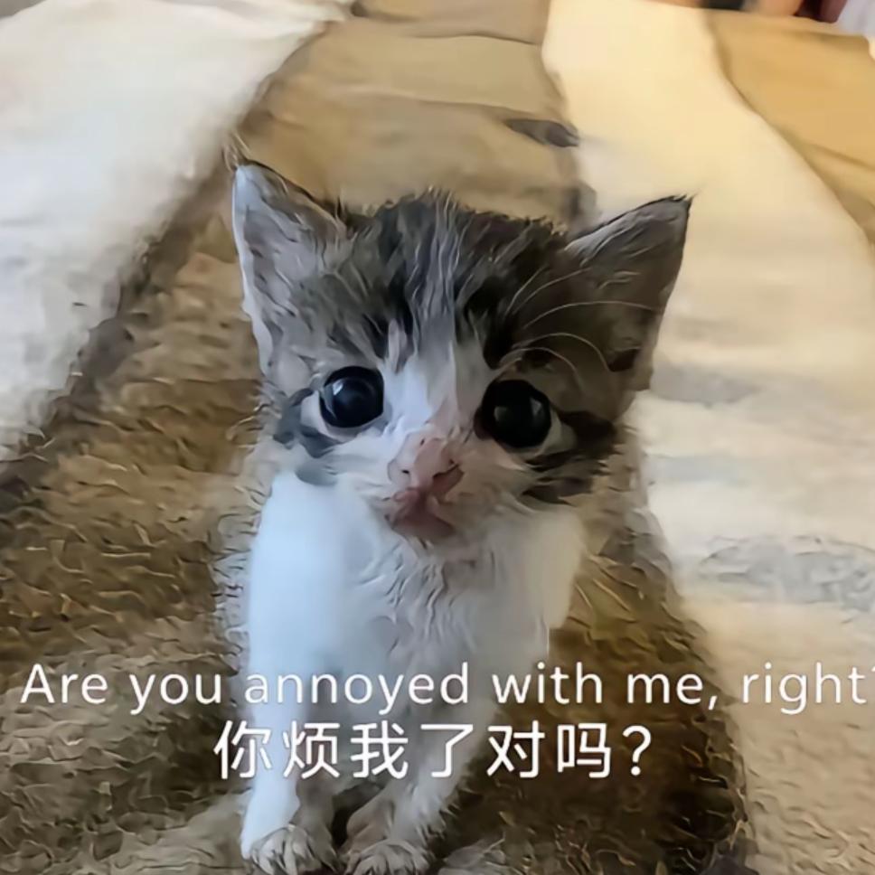 小羊羔