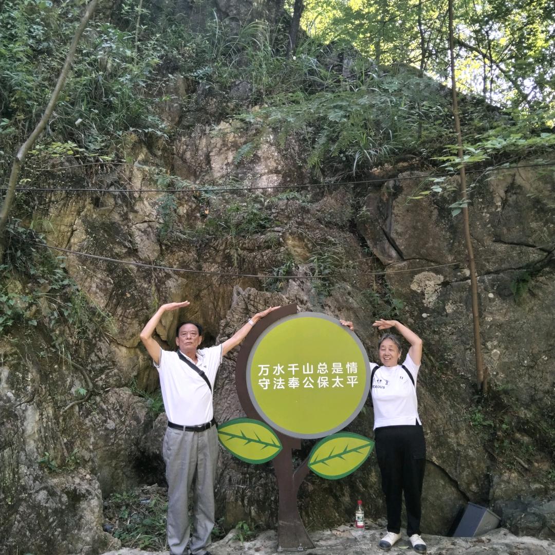 森林头像