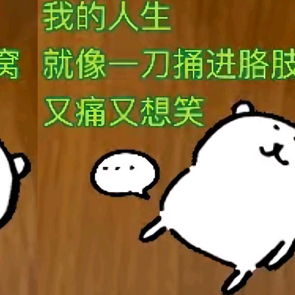 小龙超级有money