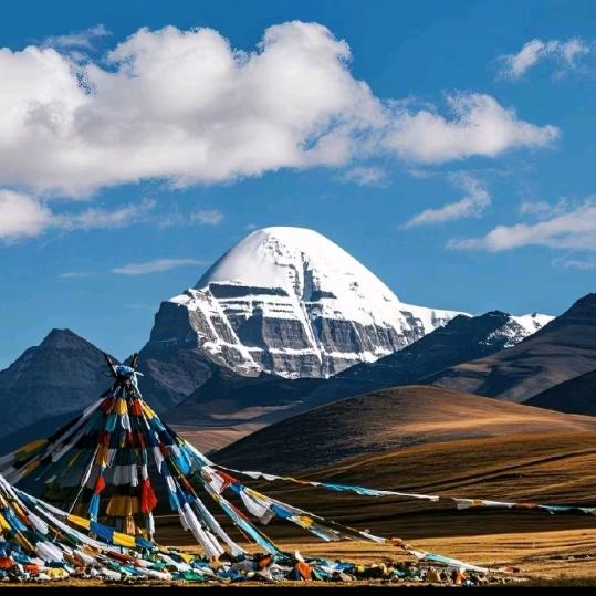 🙏城市藏人🙏