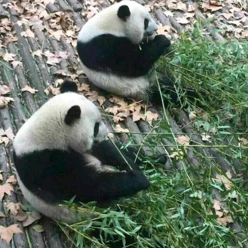 往事清零