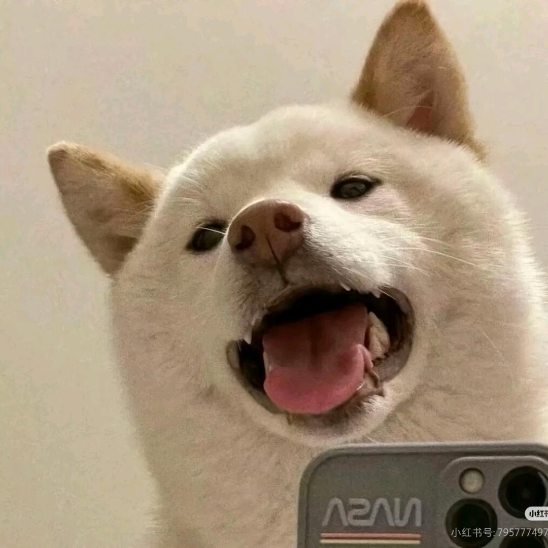 123
