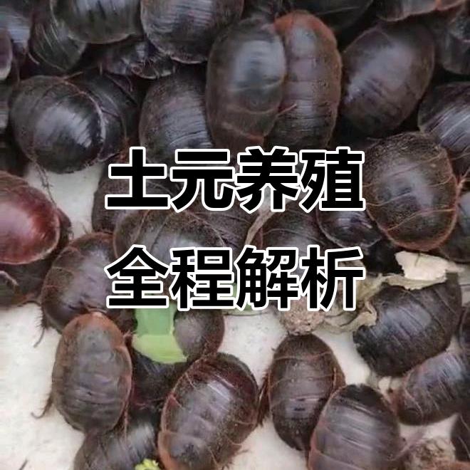 土元养殖基地