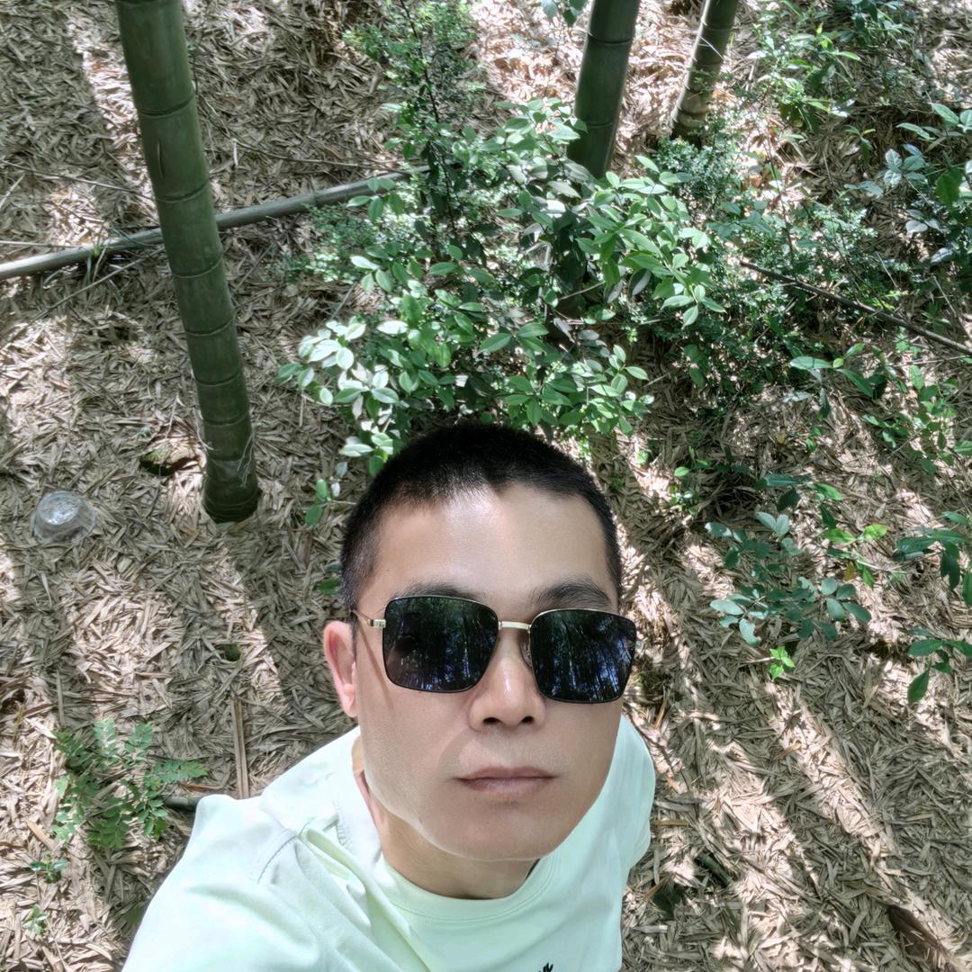 扶摇直上