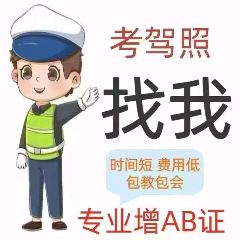 豫北驾校申红亮教练