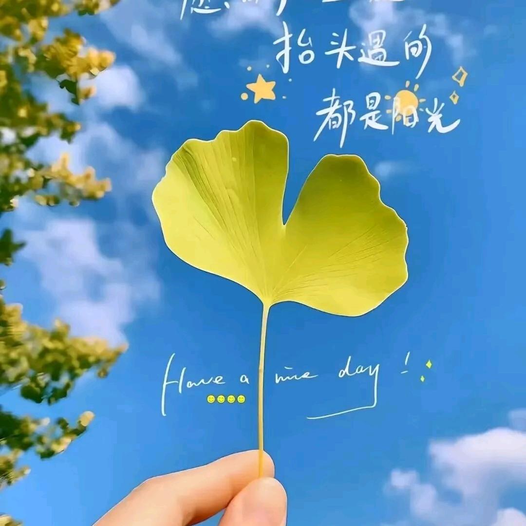 妳是我触摸不到的悲伤