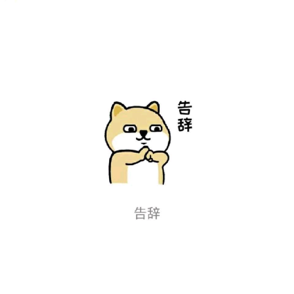 。。。。。。。