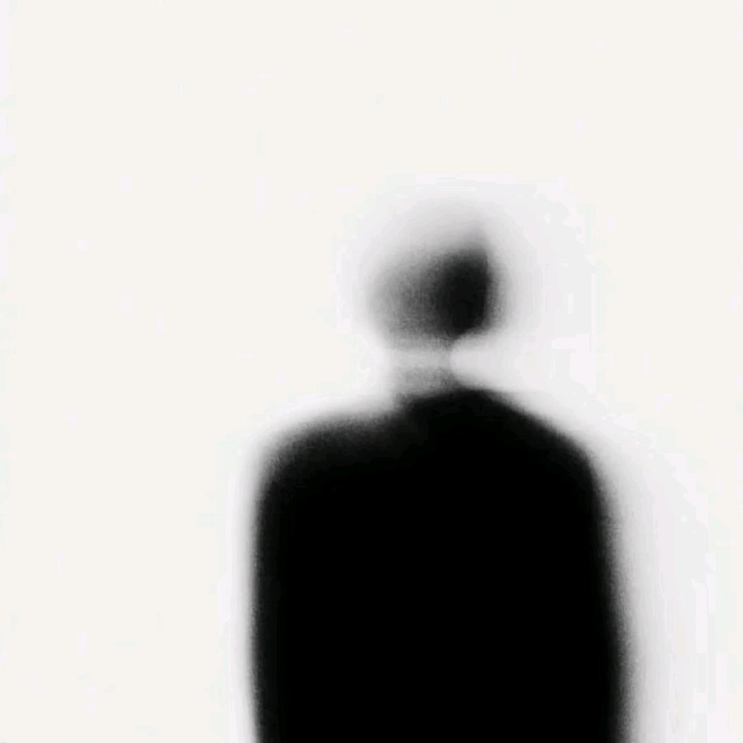 張呆呆💤💤💤