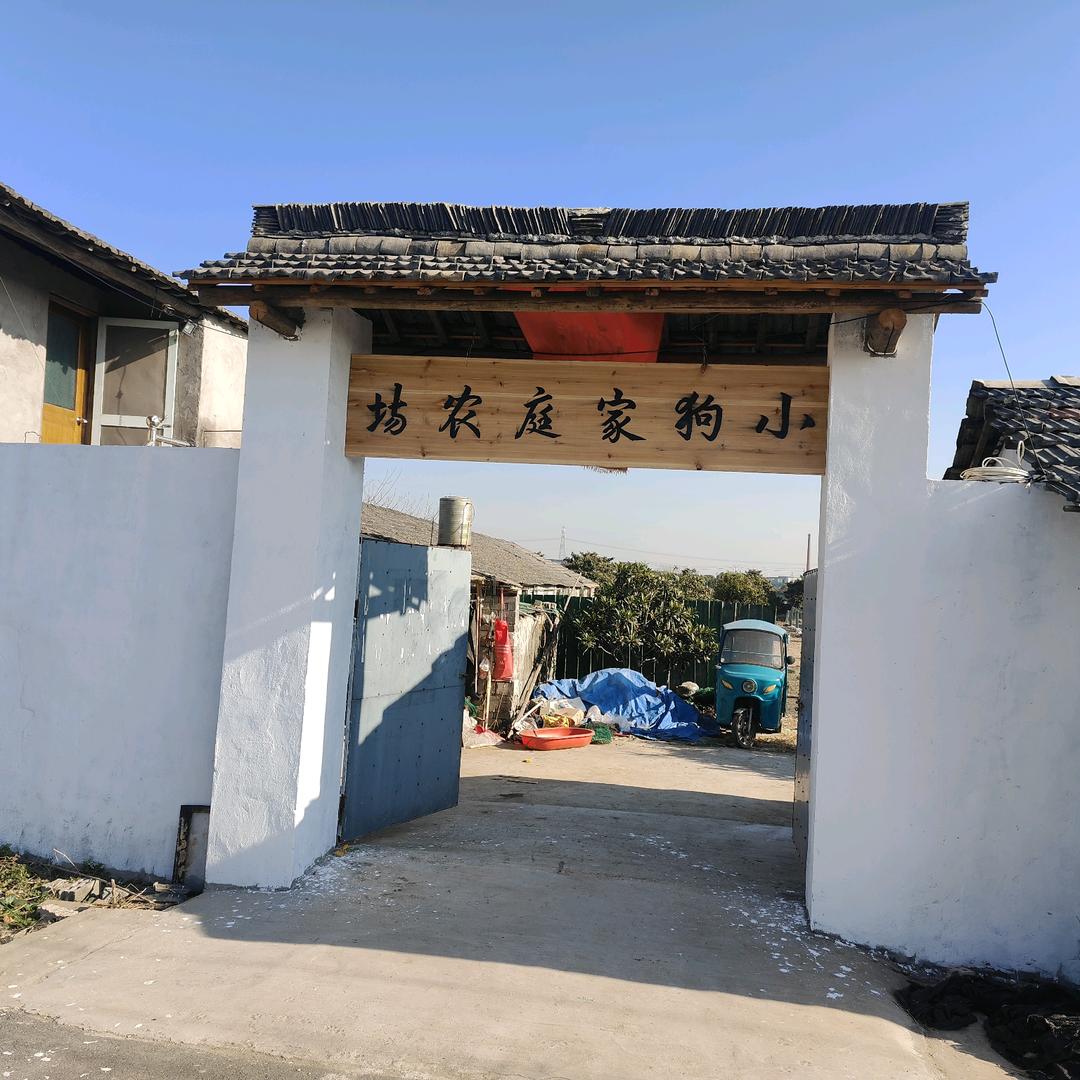 小狗家庭农场