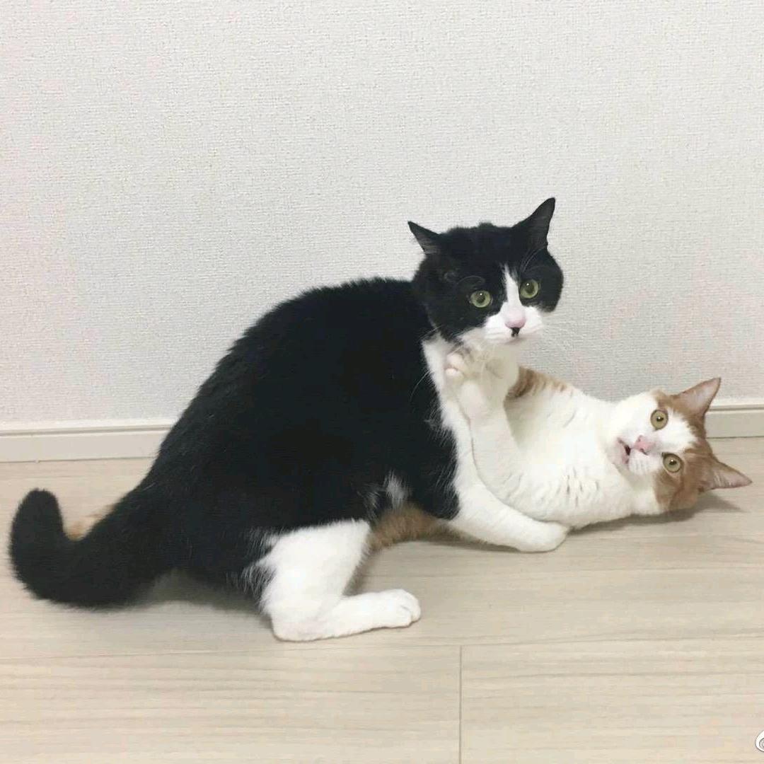 晚安💤
