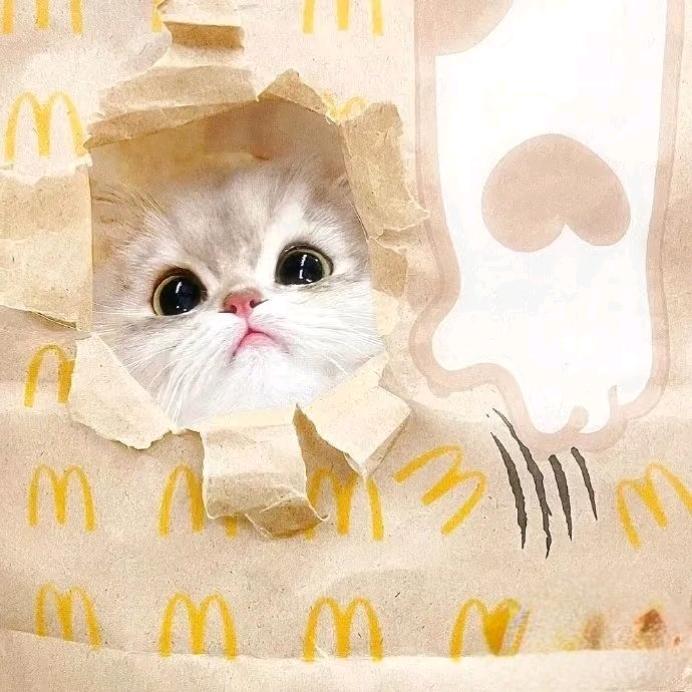 喜欢₍•ʚ•₎