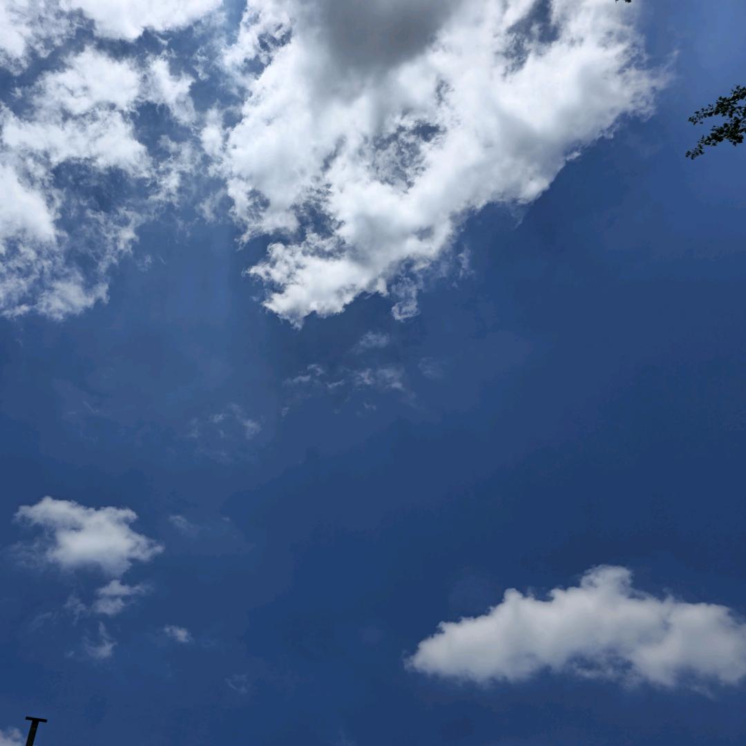 亚民种植有限公司
