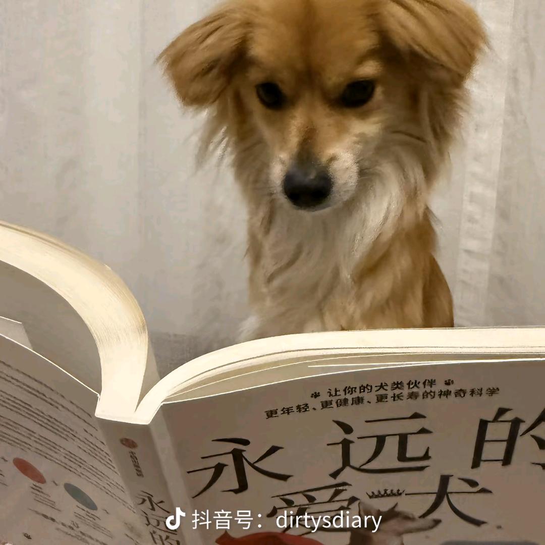 啊哦哦