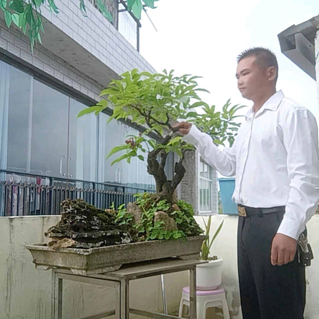 张燊燚，单身哥，回收各种旧废品