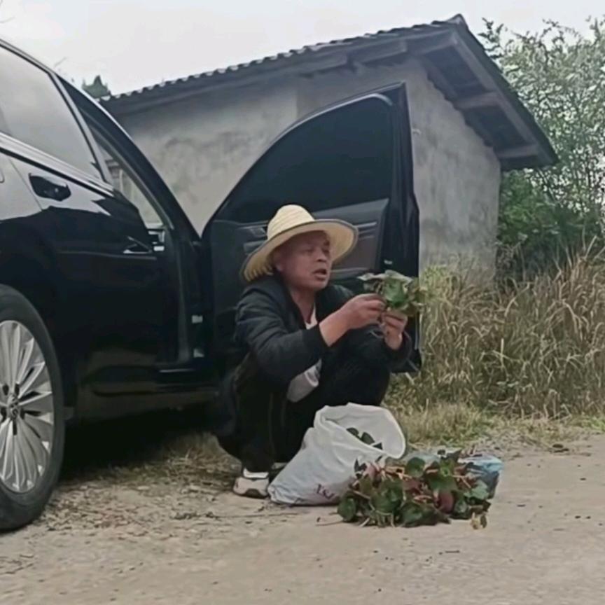 牛牛