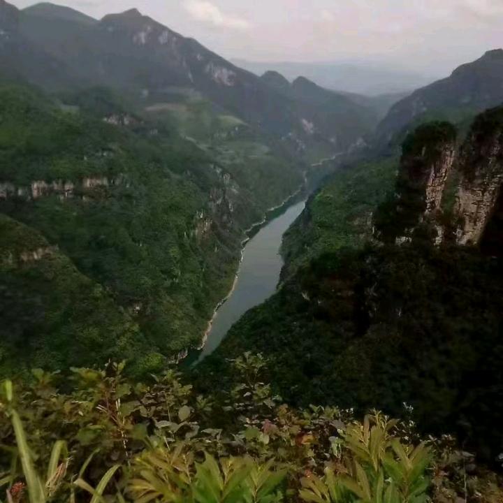 小胖哥
