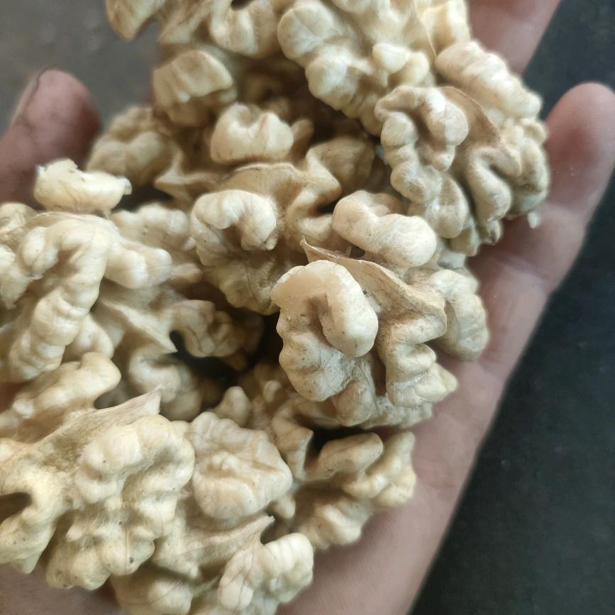 昌宁漭水明华核桃仁