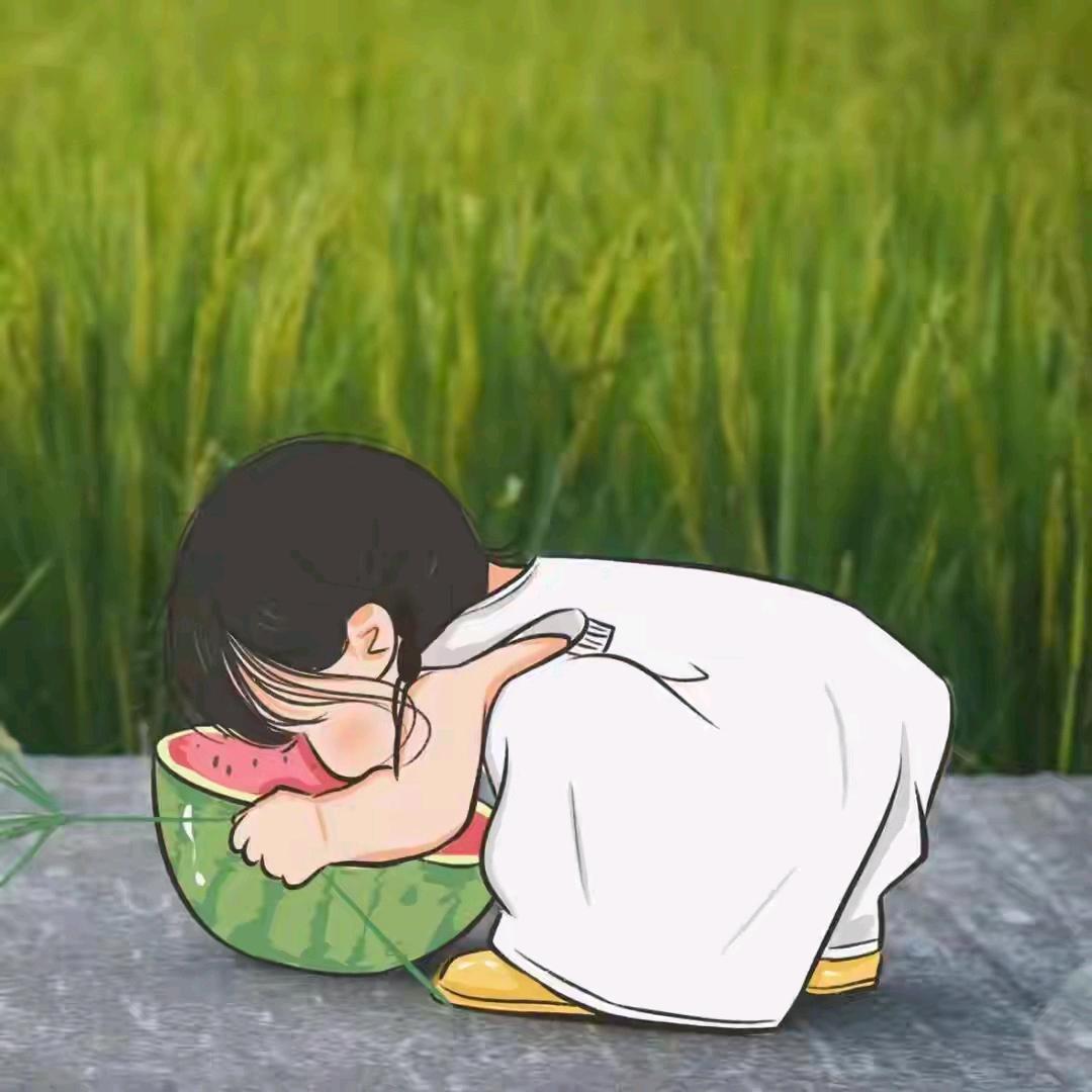 小七🌸