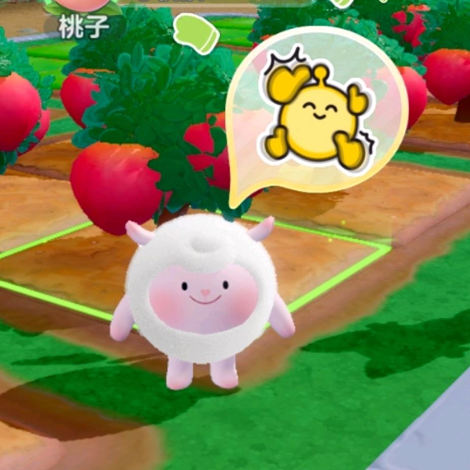 噜噜噜