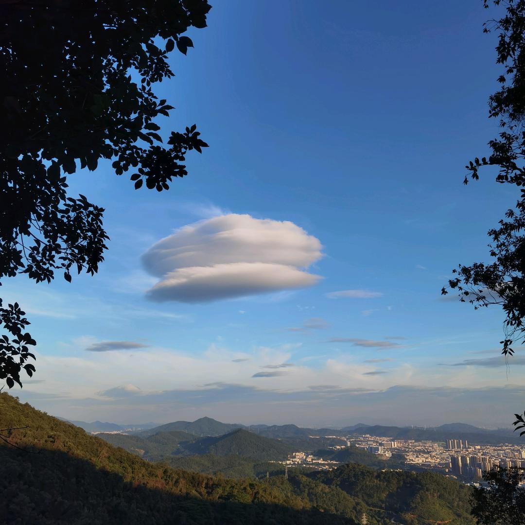 东莞怡德激光童童