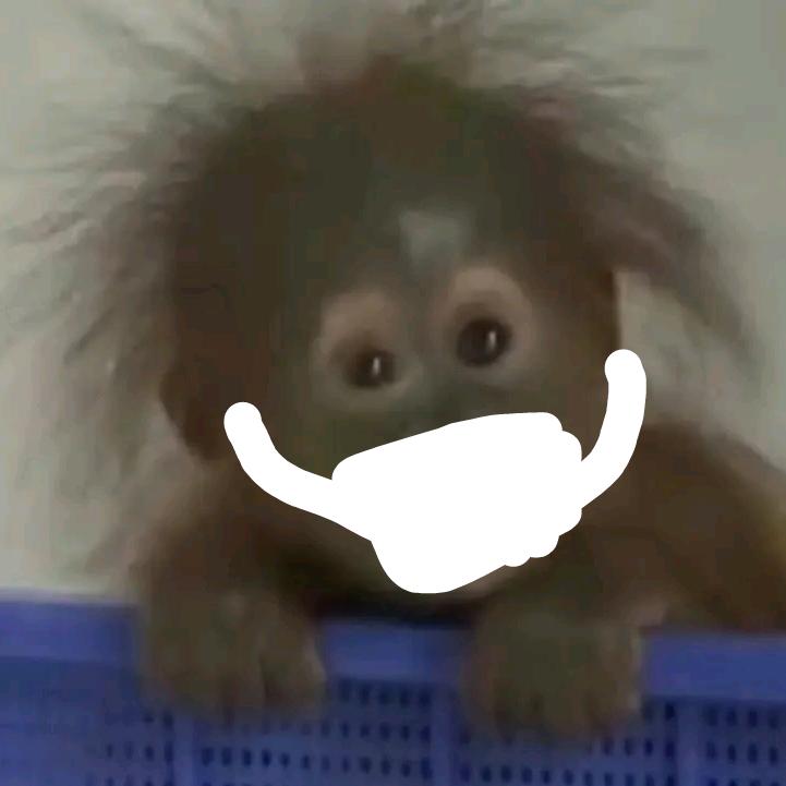 密斯卡大黑耗子