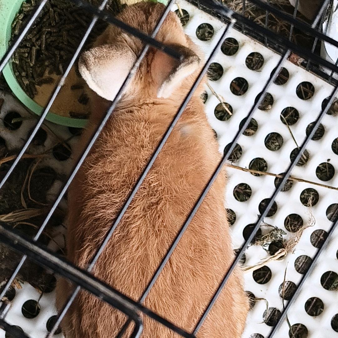我爱法拉利