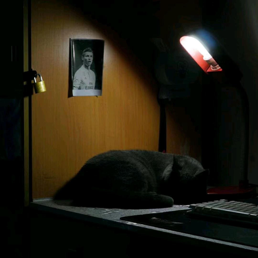 纪此情