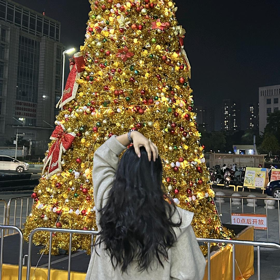 发光的向日葵🌻