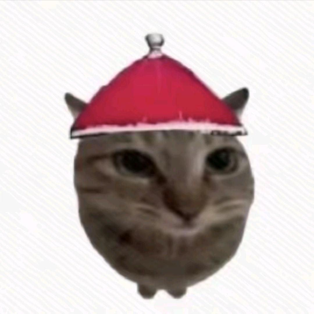 抽象猫