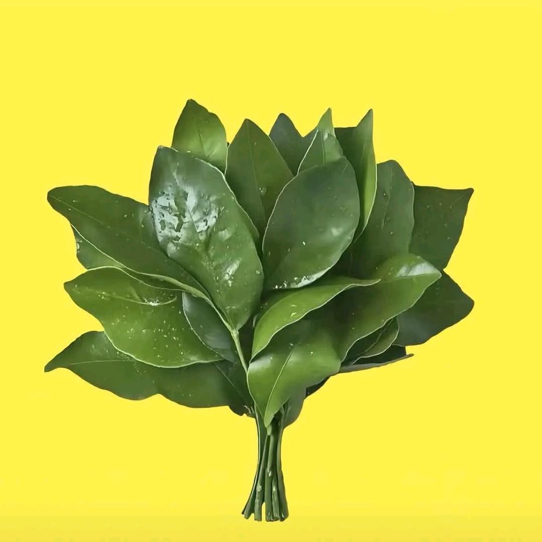 长治南广场旧货市场  荣成厨具