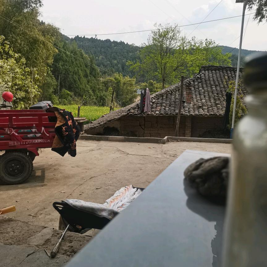 我是顾老头·全家幸福。